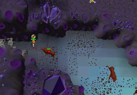Treasure Trails/Guide/Cryptics .